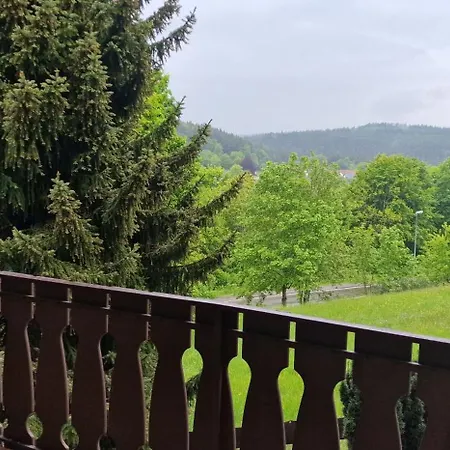 Albluxhotel Almira Guest house Messstetten